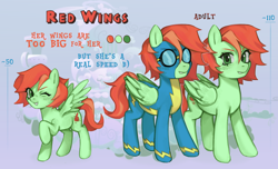 Size: 7000x4268 | Tagged: safe, artist:oops pio, imported from derpibooru, oc, oc only, oc:red wings, pegasus, pony, clothes, female, filly, foal, mare, reference, reference sheet, smiling, spread wings, standing, uniform, wings, wonderbolts uniform