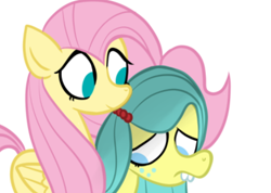 Size: 632x449 | Tagged: safe, artist:alandisc, imported from derpibooru, fluttershy, ocellus, changedling, changeling, earth pony, pegasus, pony, bucktooth, comforting, cute, disguise, disguised changeling, duo, female, folded wings, hiding, looking at someone, looking down, mare, no pupils, pony ocellus, shy, shyabetes, simple background, smiling, white background, wings