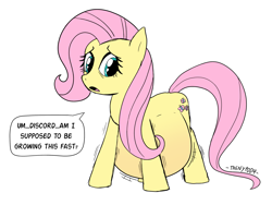 Size: 2529x1901 | Tagged: safe, imported from derpibooru, fluttershy, pony, belly, big belly, implied discord, preggoshy, pregnant, rapid pregnancy, simple background, solo, white background, wingless