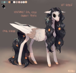 Size: 1920x1854 | Tagged: safe, artist:pessadie, imported from derpibooru, oc, oc only, pegasus, pony, pegasus oc, reference sheet, wings