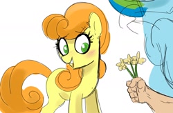Size: 1823x1198 | Tagged: safe, artist:_ton618_, imported from derpibooru, carrot top, golden harvest, rainbow dash, earth pony, human, pegasus, pony, blushing, cute, female, flower, hand, mare, offscreen character, offscreen human, open mouth, simple background, white background