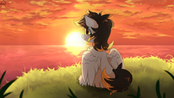 Size: 1920x1080 | Tagged: safe, artist:glazirka, imported from derpibooru, oc, oc:crossfire, bat pony, hybrid, pegasus, cute, evening, fangs, grass, ocean, pegabat, sitting, solo, sunset, water, wings