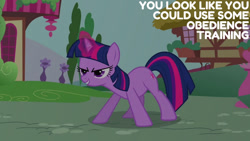 Size: 1280x720 | Tagged: safe, edit, edited screencap, editor:quoterific, imported from derpibooru, screencap, twilight sparkle, pony, unicorn, it's about time, season 2, female, magic, mare, smiling, solo, telekinesis, text, unicorn twilight