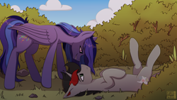 Size: 3840x2160 | Tagged: safe, artist:alicetriestodraw, imported from derpibooru, oc, oc:cinder smith, oc:wild, pegasus, unicorn, bush, looking at each other, looking at someone, lying down, outdoors, smiling, smirk, standing over