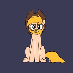 Size: 1080x1080 | Tagged: safe, artist:blitzypony, imported from derpibooru, oc, oc:chase, earth pony, pony, beard, facial hair, looking at you, male, simple background, sitting, solo, stallion