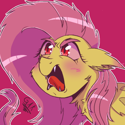 Size: 500x500 | Tagged: safe, artist:geluatekurama, imported from derpibooru, fluttershy, bat pony, pony, bat ponified, fangs, female, flutterbat, mare, open mouth, outline, race swap, red background, simple background, snarling, solo, tongue out, white outline