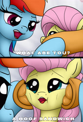 Size: 3000x4400 | Tagged: safe, artist:littlenaughtypony, imported from derpibooru, applejack, fluttershy, rainbow dash, earth pony, pegasus, pony, 2 panel comic, comic, female, fetish, hoof fetish, idiot sandwich, mare, meme