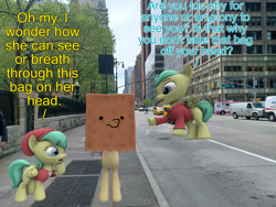 Size: 1920x1440 | Tagged: safe, artist:topsangtheman, imported from derpibooru, barley barrel, pickle barrel, oc, oc:paper bag, earth pony, pegasus, pony, 3d, barrel twins, brother and sister, colt, female, filly, foal, irl, male, mare, new york city, photo, ponies in real life, siblings, source filmmaker, twins