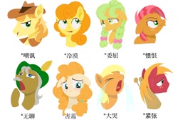 Size: 1664x1117 | Tagged: safe, artist:luansh, imported from derpibooru, apple cobbler, apple strudel, babs seed, big macintosh, braeburn, carrot top, golden harvest, goldie delicious, pear butter, earth pony, pony, apple family, apple family member, chinese, crying, crying on the outside, female, filly, floppy ears, foal, male, mare, ocular gushers, simple background, stallion, white background, younger