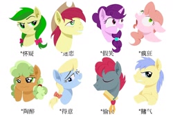 Size: 1664x1108 | Tagged: safe, artist:luansh, imported from derpibooru, apple brown betty, apple fritter, apple split, bright mac, pink lady, red delicious, sugar belle, earth pony, pony, unicorn, apple cider (g4), apple family member, chinese, female, male, mare, simple background, stallion, white background