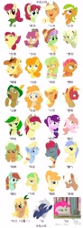 Size: 1664x4523 | Tagged: safe, artist:luansh, imported from derpibooru, apple bloom, apple brown betty, apple bumpkin, apple cobbler, apple dumpling, apple fritter, apple leaves, apple rose, apple split, apple strudel, applejack, aunt orange, auntie applesauce, babs seed, big macintosh, braeburn, bright mac, candy apples, carrot top, emerald green, gala appleby, golden harvest, goldie delicious, granny smith, green gem, mosely orange, pear butter, pink lady, pinkie pie, red delicious, sugar belle, uncle orange, oc, earth pony, pony, unicorn, apple cider (g4), apple family, apple family member, chinese, female, filly, foal, male, mare, simple background, stallion, white background, young granny smith, younger