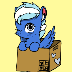 Size: 2484x2484 | Tagged: safe, artist:rainbowwing, imported from derpibooru, oc, oc only, oc:exobass, pegasus, pony, :3, behaving like a cat, box, cardboard box, chest fluff, ear fluff, looking at you, one eye closed, pegasus oc, rainbowwing is trying to murder us, simple background, solo, spread wings, whiskers, wings, wink, winking at you, yellow background