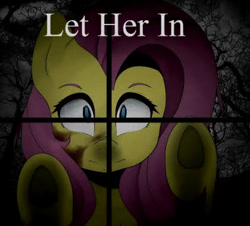 Size: 420x380 | Tagged: safe, imported from derpibooru, fluttershy, pegasus, pony, fanfic:let her in, female, mare, night, tree, window, youtube link