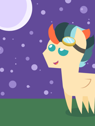 Size: 3072x4096 | Tagged: safe, imported from derpibooru, oc, oc only, oc:turbo swifter, pegasus, pony, goggles, grass, male, moon, night, pointy ponies, solo, stallion, stars