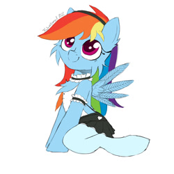 Size: 1080x1080 | Tagged: safe, artist:fajnyziomal, imported from derpibooru, rainbow dash, pegasus, pony, cheek fluff, chest fluff, clothes, commission, maid, rainbow dash always dresses in style, sexy, simple background, smiling, socks, solo, spread wings, stupid sexy rainbow dash, white background, wings, your character here