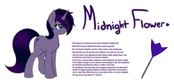 Size: 2637x1269 | Tagged: safe, artist:ponynamedmixtape, imported from derpibooru, oc, oc only, oc:midnight flower, pony, unicorn, female, lore, reference sheet, shy, simple background, solo, transparent background