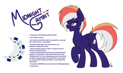 Size: 3050x1821 | Tagged: safe, artist:ponynamedmixtape, imported from derpibooru, oc, oc only, oc:midnight gambit, pegasus, pony, female, freckles, lore, reference sheet, simple background, solo, transparent background