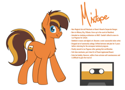 Size: 2500x1800 | Tagged: safe, artist:ponynamedmixtape, imported from derpibooru, oc, oc only, oc:mixtape, earth pony, pony, lore, male, reference sheet, simple background, solo, text, transparent background