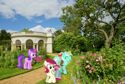 Size: 1500x1000 | Tagged: safe, artist:mlplover94, artist:mundschenk85, imported from derpibooru, amethyst star, lyra heartstrings, roseluck, sparkler, earth pony, pony, unicorn, background pony, bag, clipboard, england, female, flower, garden, irl, london, magic, mare, mouth hold, photo, ponies in real life, recolor, saddle bag, telekinesis, trio, united kingdom, watering can