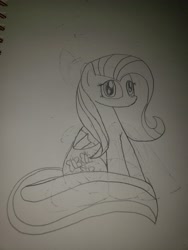 Size: 3024x4032 | Tagged: safe, artist:haileykitty69, imported from derpibooru, fluttershy, pegasus, sketch, solo, traditional art