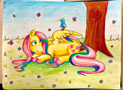 Size: 1280x940 | Tagged: safe, artist:sonorousinclemency, imported from derpibooru, fluttershy, bird, butterfly, pegasus, pony, female, lying down, mare, prone, solo, traditional art, tree
