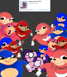 Size: 1237x1417 | Tagged: safe, artist:professorventurer, imported from derpibooru, pipp petals, pegasus, pony, series:ask pippamena, cowering, do you know da wae?, g5, hobo, meme, old man, pippamena, pokémon, scared, smg4, sonic the hedgehog (series), ugandan knuckles, waldo, where's waldo