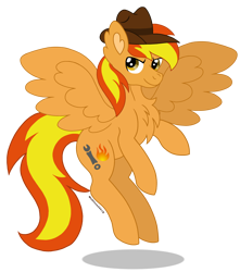 Size: 2650x3000 | Tagged: safe, artist:madlilon2051, imported from derpibooru, oc, pegasus, pony, base used, chest fluff, hat, male, pegasus oc, simple background, solo, stallion, transparent background, wings