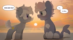 Size: 3900x2150 | Tagged: safe, artist:mochi_nation, imported from derpibooru, oc, oc:silver bolt, oc:water socks, earth pony, pony, beach, blushing, coat markings, dialogue, duo, female, looking at each other, looking at someone, male, mare, sitting, socks (coat markings), stallion, sunset