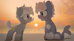 Size: 3900x2150 | Tagged: safe, alternate version, artist:mochi_nation, imported from derpibooru, oc, oc:silver bolt, oc:water socks, earth pony, pony, beach, blushing, coat markings, duo, female, looking at each other, looking at someone, male, mare, sitting, socks (coat markings), stallion, sunset