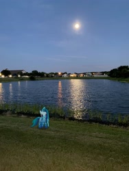 Size: 3024x4032 | Tagged: safe, imported from derpibooru, medley brook, kelpie, augmented reality, full moon, gameloft, lake, moon