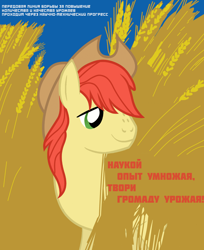 Size: 1000x1225 | Tagged: safe, artist:bodyashkin, edit, imported from derpibooru, bright mac, earth pony, pony, communism, cyrillic, field, food, harvest, male, poster, propaganda, propaganda poster, russian, socialism, soviet, translated in the description, vector, wheat