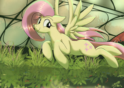 Size: 1024x724 | Tagged: safe, artist:neoshrek, imported from derpibooru, fluttershy, pegasus, pony, solo