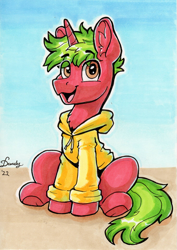 Size: 1471x2076 | Tagged: safe, artist:dandy, imported from derpibooru, oc, oc only, pony, unicorn, clothes, copic, ear fluff, hoodie, horn, looking at you, signature, sitting, solo, traditional art, underhoof, unicorn oc