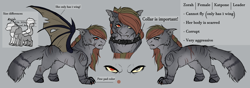 Size: 5656x2000 | Tagged: safe, artist:highrolleryt, imported from derpibooru, oc, oc only, oc:zorah, cat, cat pony, original species, pony, bust, heterochromia, reference sheet, size chart, size comparison