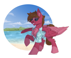 Size: 2536x2088 | Tagged: safe, artist:dorkmark, imported from derpibooru, oc, oc only, pegasus, pony, background sketch, chest fluff, clothes, ear fluff, glasses, hawaiian shirt, male, raised hoof, scenery, shirt, smiling, solo, stallion, water