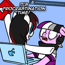 Size: 800x800 | Tagged: safe, artist:thedragenda, imported from derpibooru, oc, oc:ace, pony, ask-acepony, computer, laptop computer, ponified, youtube