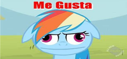 Size: 1350x629 | Tagged: safe, edit, edited screencap, imported from derpibooru, screencap, rainbow dash, pegasus, pony, the mysterious mare do well, derp, female, funny, hub logo, logo, mare, me gusta, meme, meme face, the hub