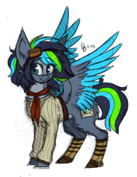 Size: 726x942 | Tagged: safe, artist:tay-niko-yanuciq, imported from derpibooru, oc, oc only, pegasus, pony, clothes, colored wings, female, goggles, mare, pegasus oc, simple background, solo, transparent background, two toned wings, wings