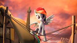 Size: 4000x2250 | Tagged: safe, artist:featray, imported from derpibooru, rainbow dash, pegasus, pony, 3d, behaving like a bird, looking at you, sitting, solo, source filmmaker