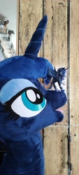 Size: 2088x4640 | Tagged: safe, imported from derpibooru, princess luna, alicorn, figure, irl, photo, plushie