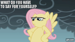 Size: 640x360 | Tagged: safe, edit, edited screencap, editor:quoterific, imported from derpibooru, screencap, fluttershy, pegasus, pony, dragonshy, season 1, animated, female, flying, gif, gifs.com, mare, open mouth, solo, spread wings, text, wings