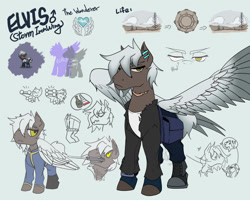 Size: 1280x1023 | Tagged: safe, artist:zoeandlodar, imported from derpibooru, oc, oc only, pegasus, ashes town, character design, male, missing eye, scar, scarred, stallion