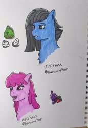 Size: 2178x3164 | Tagged: safe, artist:autumnsfur, imported from derpibooru, berry punch, berryshine, limestone pie, earth pony, pony, blue fur, bust, g4, green eyes, grey hair, irl, long mane, notebook, paper, photo, pink eyes, pink fur, portrait, sharpie, sketch, traditional art