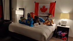 Size: 2048x1154 | Tagged: safe, artist:lanacraft, artist:vanhooverpe, imported from derpibooru, rainbow dash, babscon, babscon 2022, bed, canada, clothes, flag, irl, life size, photo, plushie, uniform, wonderbolts uniform