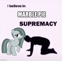 Size: 502x497 | Tagged: safe, edit, imported from derpibooru, marble pie, earth pony, human, pony, duo, female, mare, simple background, supremacy meme, text, text edit, truth, white background