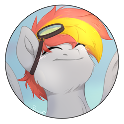 Size: 2480x2480 | Tagged: safe, artist:sinrinf, imported from derpibooru, oc, oc only, oc:afterburner, pegasus, pony, bust, commission, glasses, happy, portrait, simple background, smiling, solo, transparent background, ych example, ych result, your character here