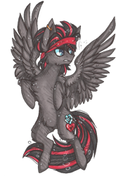 Size: 541x818 | Tagged: safe, artist:tay-niko-yanuciq, imported from derpibooru, oc, oc only, pegasus, pony, chest fluff, gritted teeth, pegasus oc, rearing, simple background, solo, teeth, transparent background, wings