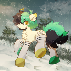 Size: 2000x2000 | Tagged: safe, artist:quinnai, imported from derpibooru, oc, oc only, oc:wing sprout, earth pony, pony, bandaid, big tail, chest fluff, christmas, clothes, cute, detailed, detailed background, dyed mane, ear fluff, fluffy tail, holiday, night, original character do not steal, raised hoof, shading, short hair, snow, snowfall, socks, solo, sprout, tail, winter