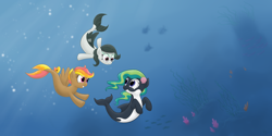 Size: 3464x1732 | Tagged: safe, artist:kalyandra, imported from derpibooru, oc, oc only, oc:front page, oc:marina (efnw), oc:mocha sunrise, fish, hybrid, merpony, orca, orca pony, original species, pegasus, seapony (g4), bubble, crepuscular rays, dorsal fin, everfree northwest, female, fish tail, flowing mane, flowing tail, glasses, green mane, looking at each other, looking at someone, ocean, open mouth, purple eyes, seaponified, seashell, smiling, species swap, sunlight, swimming, tail, underwater, water, wings