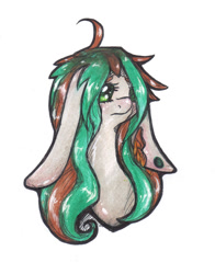 Size: 1024x1309 | Tagged: safe, artist:hippykat13, artist:sabokat, imported from derpibooru, oc, oc only, donkey, hybrid, mule, bust, donkey oc, green eyes, long ears, old art, portrait, sad, solo, torn ear, traditional art